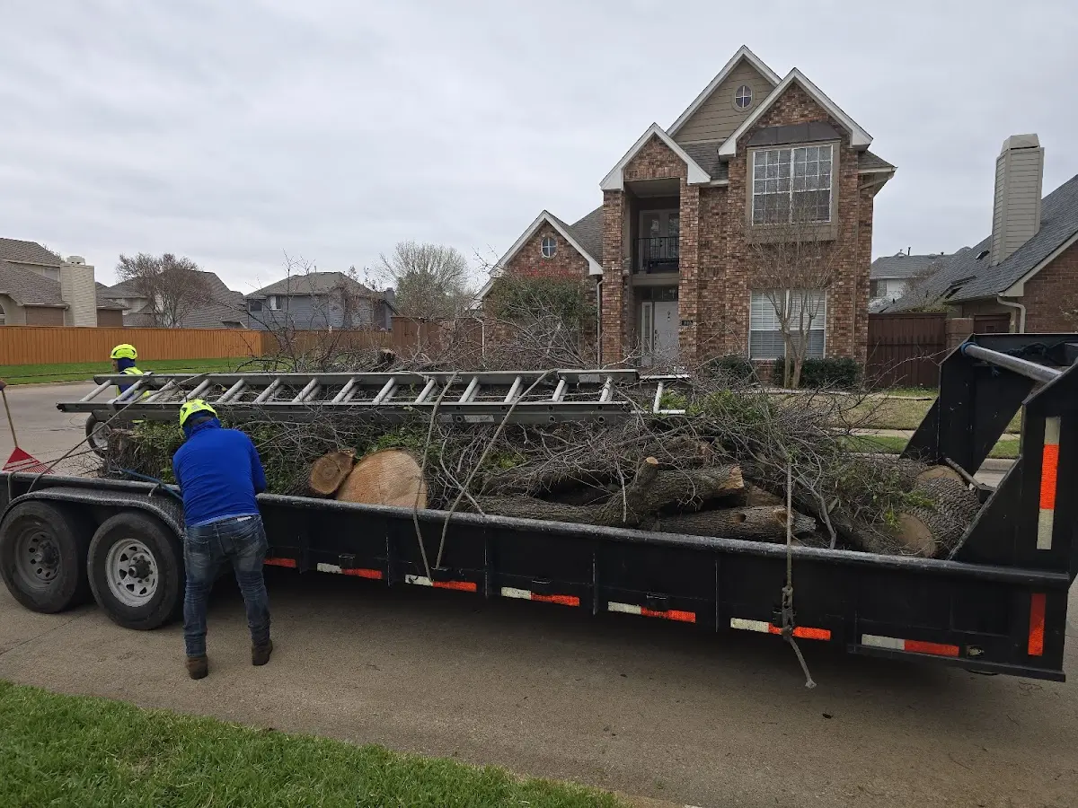 Expert Tree Fertilization with proper safety equipment in Sidney Center